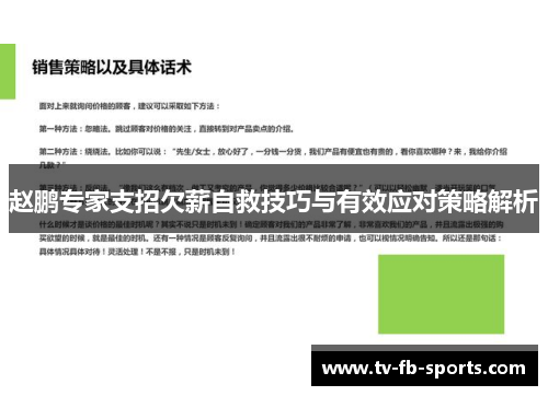 赵鹏专家支招欠薪自救技巧与有效应对策略解析