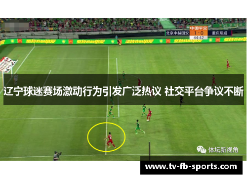 辽宁球迷赛场激动行为引发广泛热议 社交平台争议不断